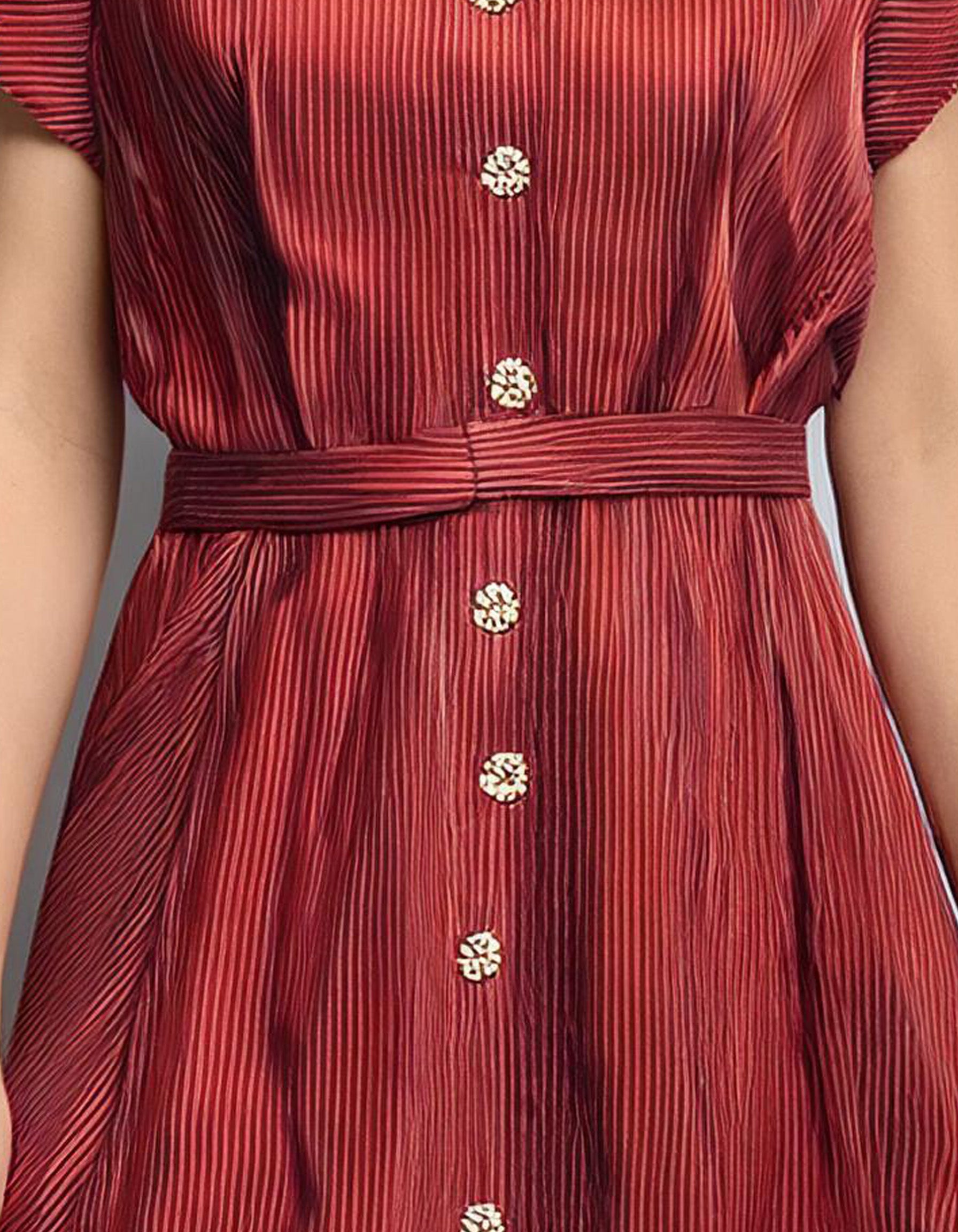 Burgundy Fit and Flare Shirt Dress 3