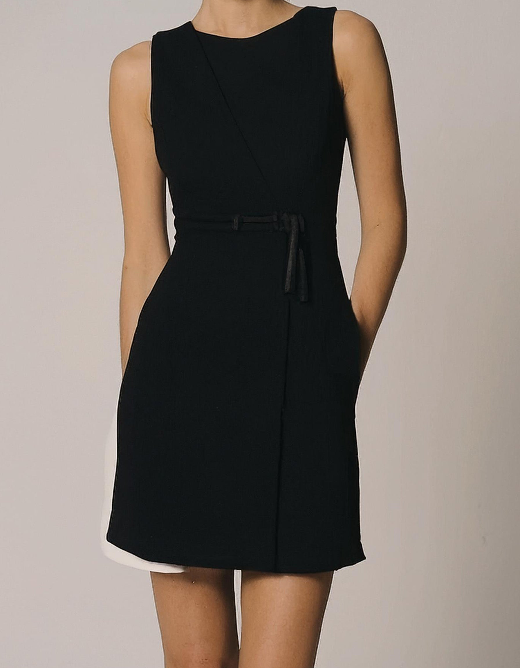 Chic Black Sleeveless A-Line Dress 2
